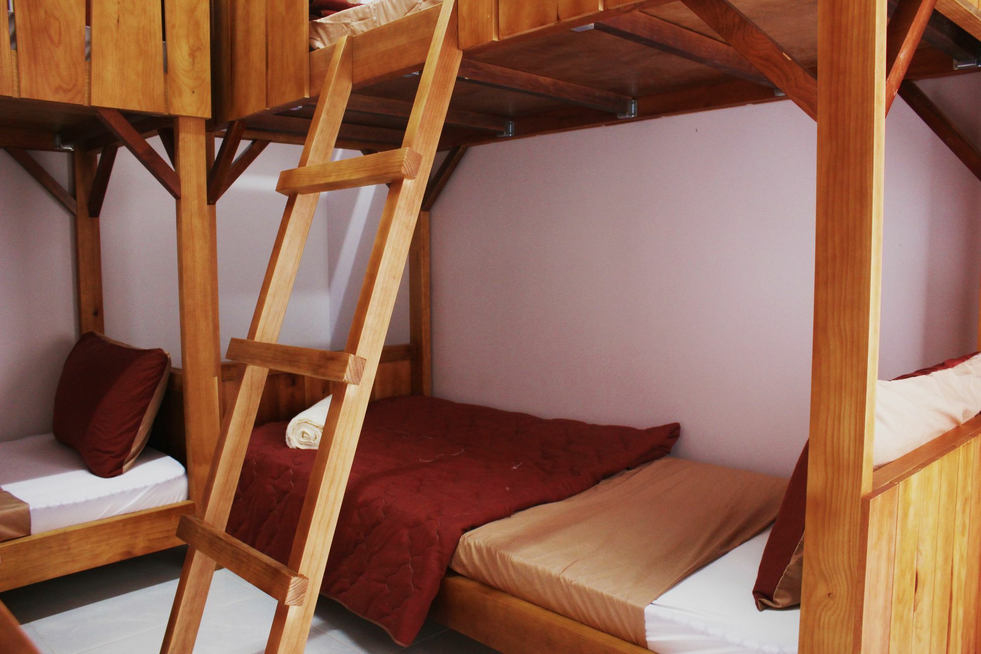Tree House Hostel Da Lat Esterno foto